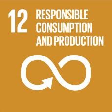 Sustainable Millenium Developent Goals