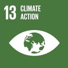 Sustainable Millenium Developent Goals