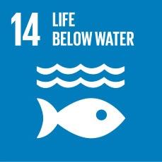Sustainable Millenium Developent Goals